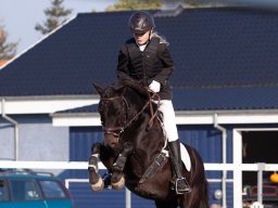 IMG_6999_web